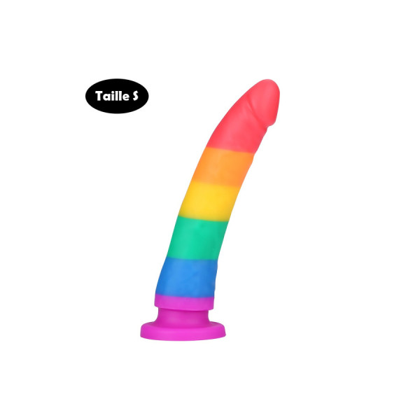 Gode ventouse multicouleur taille S 